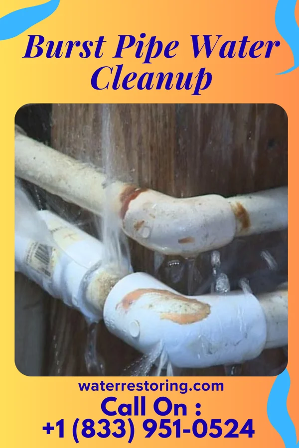 Burst Pipe Water Cleanup in Savage Town, VA