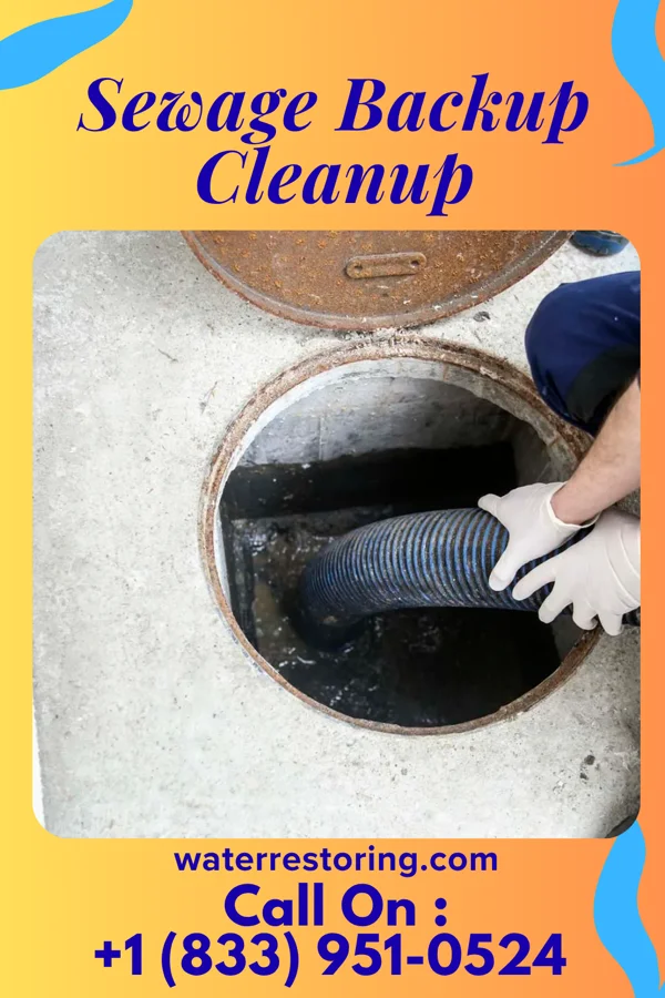 Sewage Backup Cleanup in Savage Town, VA
