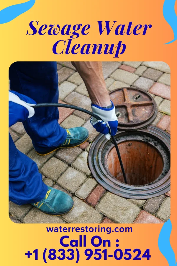 Sewage Water Cleanup in Savage Town, VA