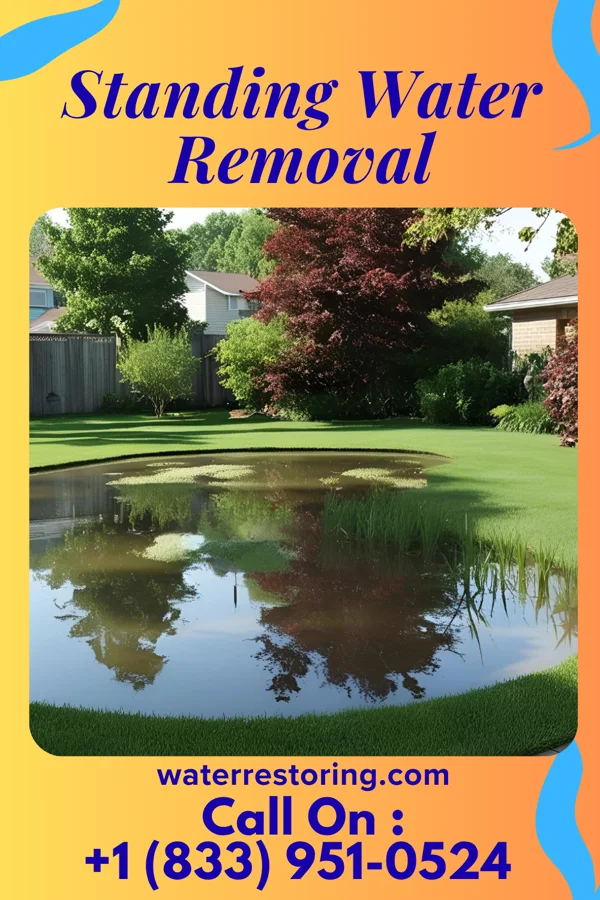 Standing Water Removal in Savage Town, VA